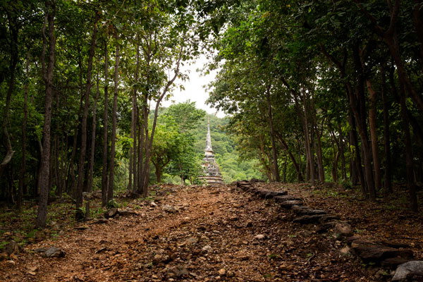 15-08_Sukhothai-Wat-Chedi-Ngam-forest