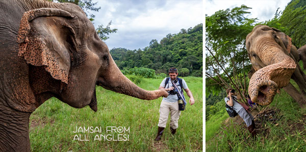 18-08_Elephant-Nature-Park-Pamper-Pachyderm-walk-trunk